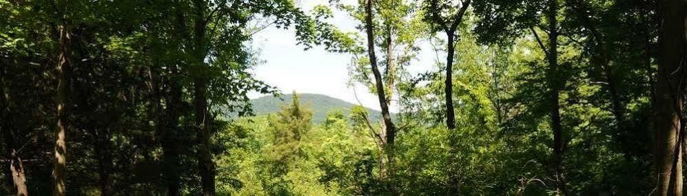 Saint Hubert'S Lodge Marlboro Εξωτερικό φωτογραφία